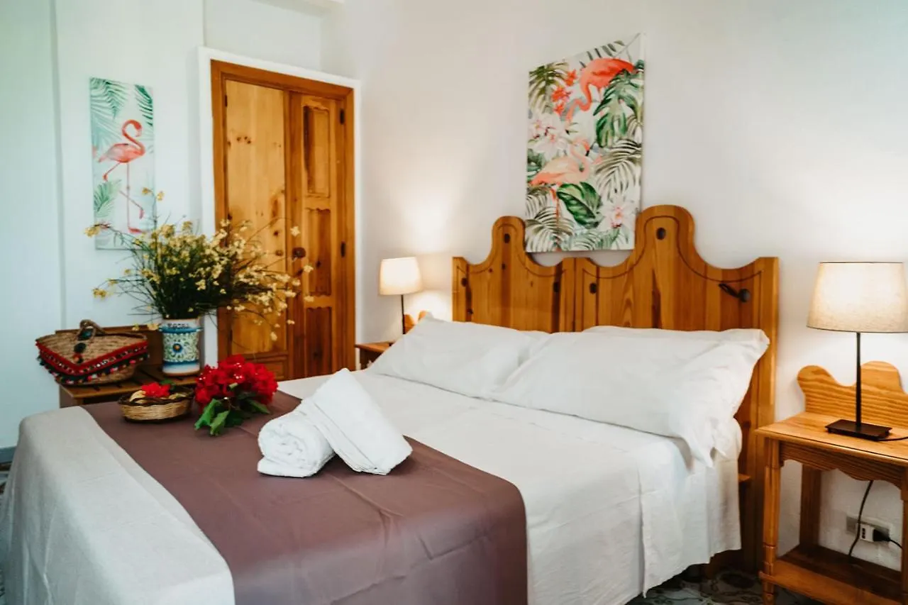 Hotel Rojas Vulcano 3*,